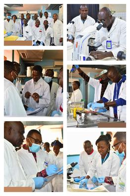 Laboratory session on AAT diagnosis © Kudjo, CIRDES