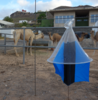 Vavoua trap set at the camel farm of the faculty of veterinary medicine ULPGC  © Geoffrey Gimonneau, Cirad